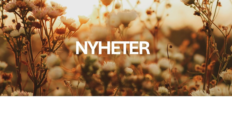Nyheter
